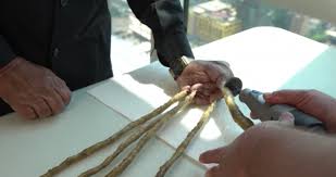 La unidad menor dentro de la obra dramática y está marcada por la entrada o salida. Un Octogenario Se Corta Las Unas Tras 66 Anos