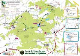 Carte De La Foret De Broceliande Printemps Ete Foret De Broceliande Broceliande Foret De Paimpont