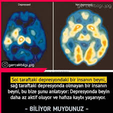 6 703 Begenme 30 Yorum Instagram Da Oha Diyecegin Bilgiler Gercekbilgi Jpg Bu Tarz Paylasimlarin Devami Icin Simd Bilgi Biliyor Muydunuz Gercekler
