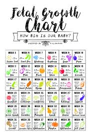 Fetal Growth Chart How Big Is My Baby Fetal Growth Chart