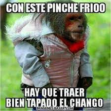 My Imagenes Imagenes Con Frases Graciosas Del Frio Tengo patas y no ando, soy plana y no canto, se apoyan para escribir y no te puedo hacer reír. imagenes con frases graciosas del frio
