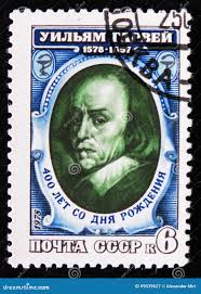 William Harvey Stock Photos