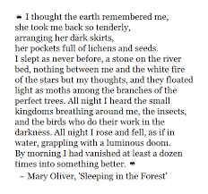 Mary Oliver Sleeping In The Forest Poetry Words Words Mary Oliver Poems