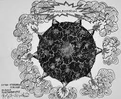 ROBERT SMITHSON