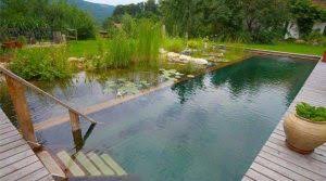 Cara Buat Kolam Renang Natural Royal Pool