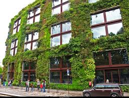 Page Not Found Carolina Interior Works Vertical Garden Green Wall Green Architecture