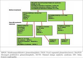 childhood idiopathic steroid resistant nephrotic syndrome in