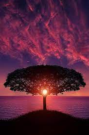 10 Most Stunning Sunset Photos Discovery Center Blog Beautiful Nature Beautiful Landscapes Amazing Nature
