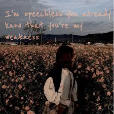 Speechless Lyrics Country Music Lyrics Instagram Captions Country Song Quotes