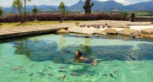 Bruno Gagliasso Nada Com Os Peixes Em Lago Piscina De Seu Rancho Veja