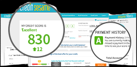 A credit card balance transfer moves the money you already owe to a new credit card. Why Don T My Credit Cards Ever Show A Zero Balance On My Credit Reports Credit Sesame