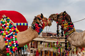 More than 9 camel tent at pleasant prices up to 18 usd fast and free worldwide shipping! Pushkar Camel Fair Rajasthan India Someday Travels