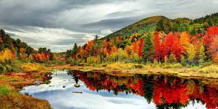 Image result for autumn photos