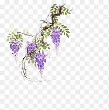 10 volte su 10, l'aria che si trova all'interno della tua casa, del tuo ufficio o le piante grasse pendenti rappresentano una vera e propria. Viti Png Pngegg