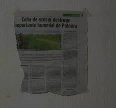 The king zilla proudly presents: Nikki Benz Gif On Imgur