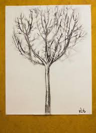 How to draw trees ?? Teaching Kids How To Draw From Life How To Draw A Tree Art For Kids Hub