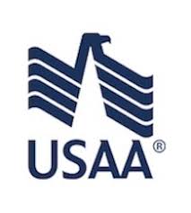 Business Support Analyst Lead At Usaa Mogul