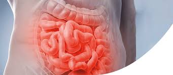 Birgit terjung fachärztin für innere medizin, gastroenterologie, ernährungsmedizin, hypertensiologin. Kkh Waldbrol Klinik Fur Innere Medizin Gastroenterologie Hepatologie