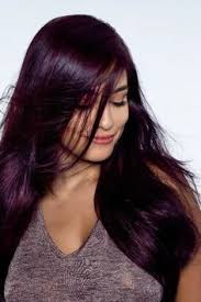 True Violet Hair Color Loreal Hicolor