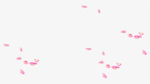 Share the best gifs now >>>. Falling Petals Png Images Free Transparent Falling Petals Download Page 2 Kindpng