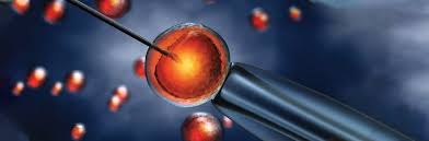 Jenifer on december 04, 2013: Donor Egg Ivf Options Florida Institute For Reproductive Medicine