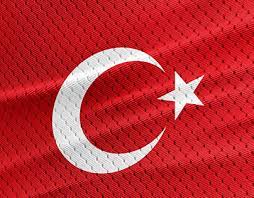Türk milli takım logo çizimi (turkısh natıonal team logo sketch) #149. Savas Senoglu On Behance