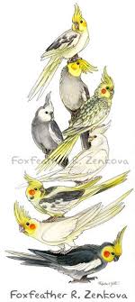 Cockatiel Art Stack Painting Print Wall Art Bird Stack Etsy Bird Drawings Birds Painting Cute Birds