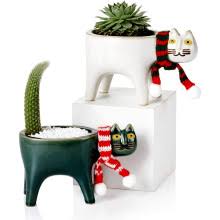 Enjoy free shipping on most stuff, even big stuff. Best Value Cat Planter Great Deals On Cat Planter From Global Cat Planter Sellers Related Search Ranking Keywords On Aliexpress