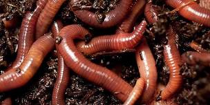 Worm Composting Workshop