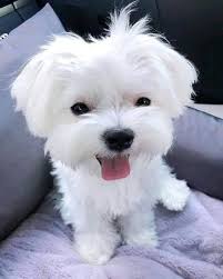 I am very sad cause nobody love my picture 💔😢