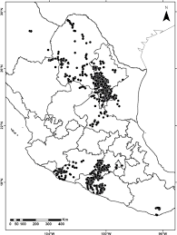 Image result for Buchnera longispicata