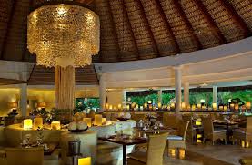 Image result for Melia