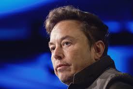 Elon Musk: What does he really want, now that US election is over?