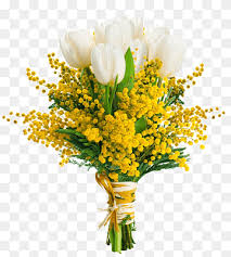 International women's day flowers italy. International Women S Day Acacia Dealbata Woman Italy Torta Mimosa Woman Child People Twig Png Pngwing