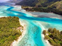 Image result for Mohria