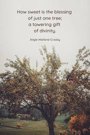 Tree Quotes Tree Poetry That Branch To Your Soul Tree Quotes Nature Quotes Trees Nature Quotes