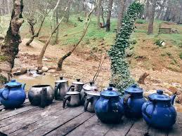 Drink Your Tea In A Peaceful Nature Kozak Yaylasi Bergama Turkey