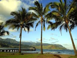 Ahi sushi and saki című értékelésből. Hawaii Holiday Why Kauai Island Beats Out Honolulu