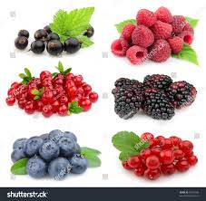 Maybe you would like to learn more about one of these? Cranberry Y Blueberry En Espanol