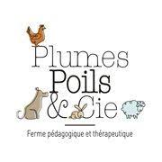 les poils plumes et compagnies