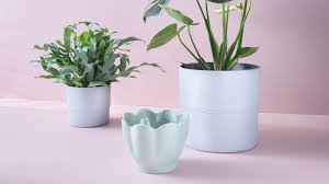 Ceramic plant pots for indoor plants. Flower Pots Stands Ikea