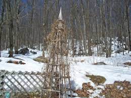 We did not find results for: Spring Care Of Clematis In The Frozen North