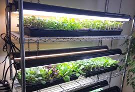 Want To Garden Like A Pro Here S A Simple And Affordable Indoor Grow Light Setup Growjourney