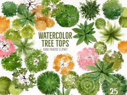 Watercolor Tree Top View- Landscape Tree Plan View- Landscape Plan Graphic-  Hand Painted Tree Top Symbols for Landscape Architecture