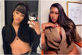 Megan Thee Stallion Sues YouTuber Milagro Gramz Over Alleged Defamation &  Cyberstalking