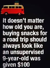 100 Hilarious Road Trip Memes Cartoons Truth About Family Travel