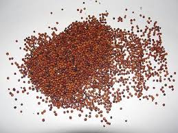 Newborn (at the time of birth) : 20 Super Healthy Weight Gain Foods For Babies And Kids