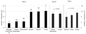 Live stream plus station schedule and song playlist. Zayan Fm Frequency
