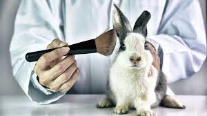 Animal testing will always be an emotive subject and some people condone it for medical research thalidomide was tested in animals and this is used as an argument by many to say that animal. Animal Testing In China Exemption Undoubtedly The Future But Practical Challenges Remain