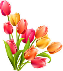 Tyulpany Flower Wallpaper Easter Clip Art Free Easter Flowers